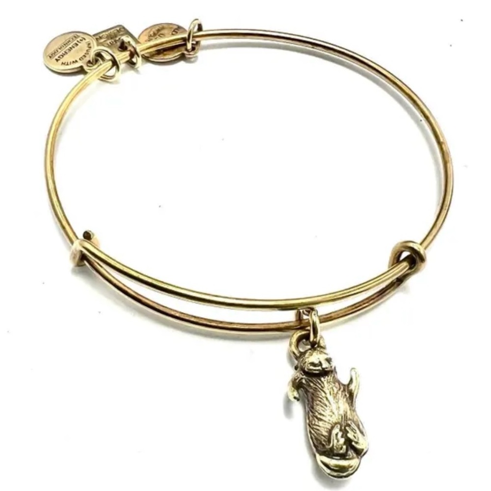 Alex and Ani Otter Charm Bracelet Rafaelian Gold